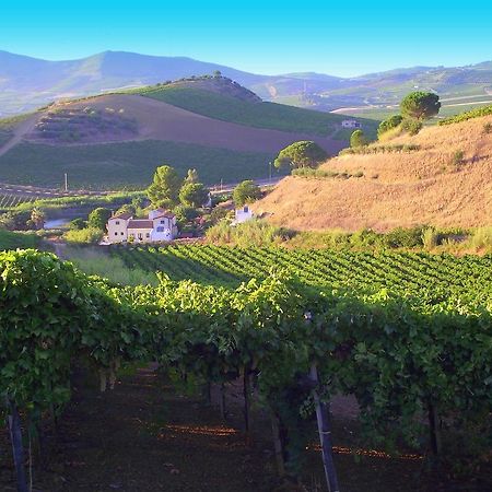 Agriturismo Tarantola Alcamo Eksteriør billede