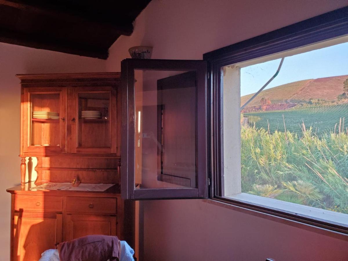 Agriturismo Tarantola Alcamo Eksteriør billede