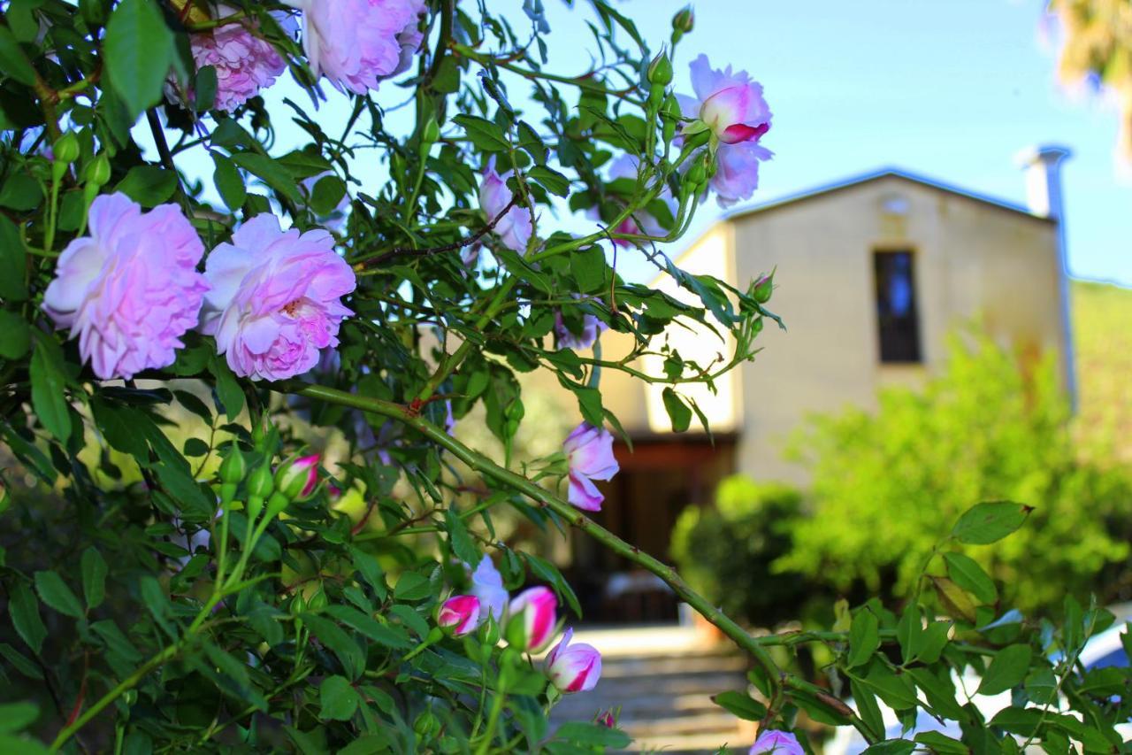 Agriturismo Tarantola Villa Alcamo Eksteriør billede