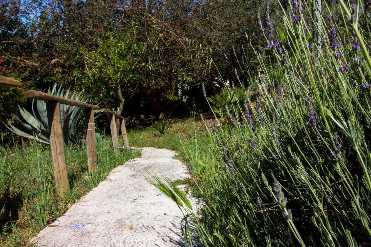 Agriturismo Tarantola Alcamo Eksteriør billede